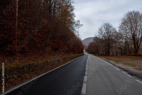 Obraz road in autumn