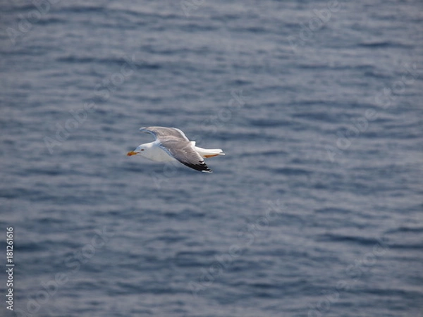 Obraz OLYMPUS DIGITAL CAMERA