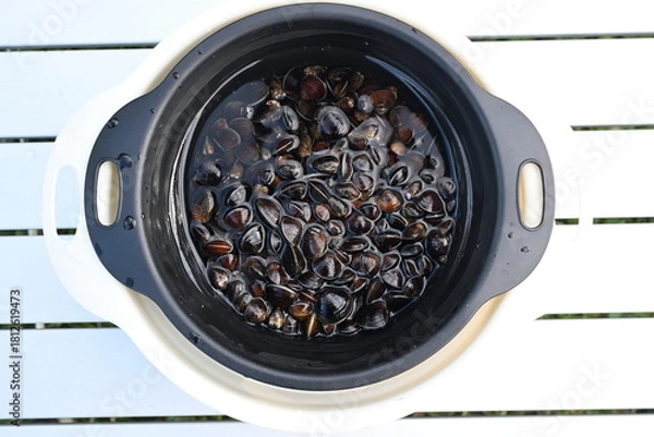 Obraz 十三湖で採れたシジミ（青森県）