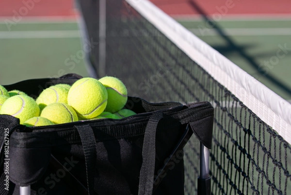 Fototapeta tennis balls in a basket and the net