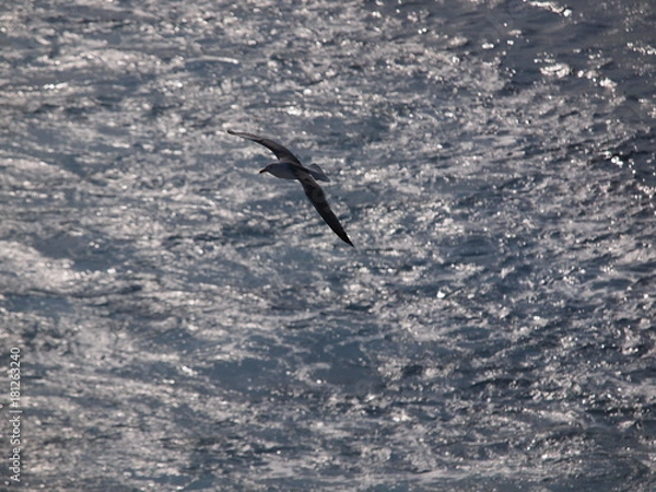 Obraz OLYMPUS DIGITAL CAMERA