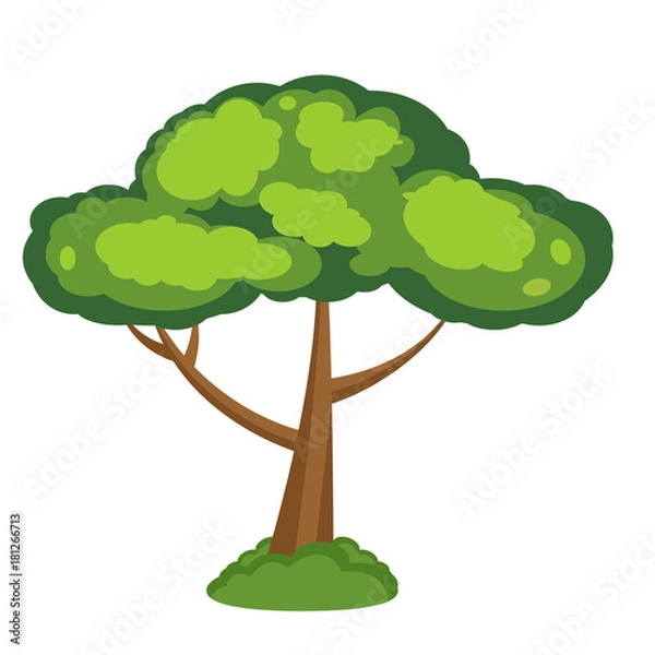 Obraz Árbol como recurso gráfico