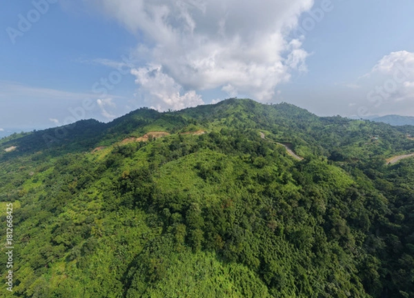 Obraz Aerial Symphony of Green Hills, Twisting Trails, and Towering Clouds in Bandarban