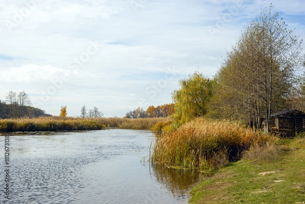 Obraz Coast by the river