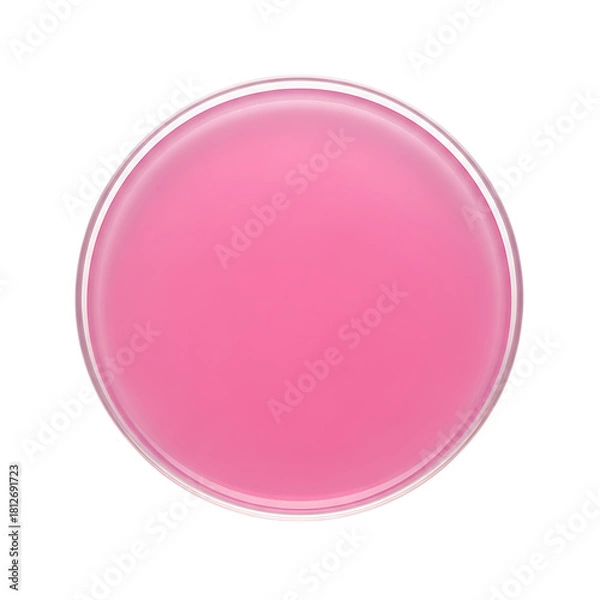 Fototapeta Pink circular petri dish with a glossy surface and a white rim on a black background