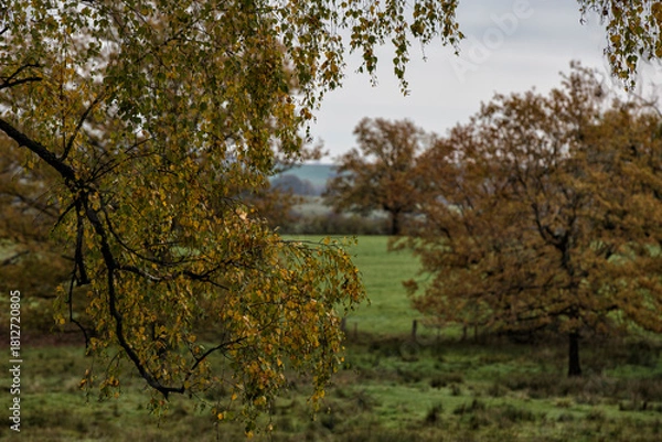 Obraz ambiance d'automne 