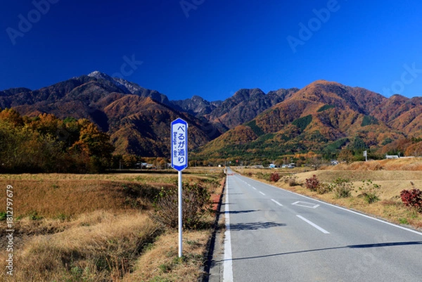 Obraz 紅葉に染まる南アルプスへ