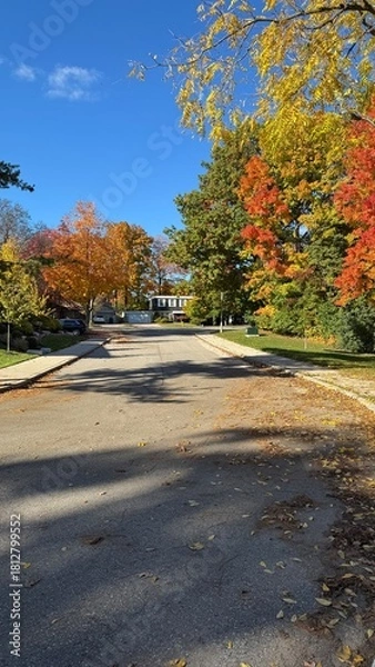 Fototapeta A bright, sunny autumn scene of a quiet residential street. The trees along both sides of the road are full of fall leaves in shades of yellow, orange, red, and green