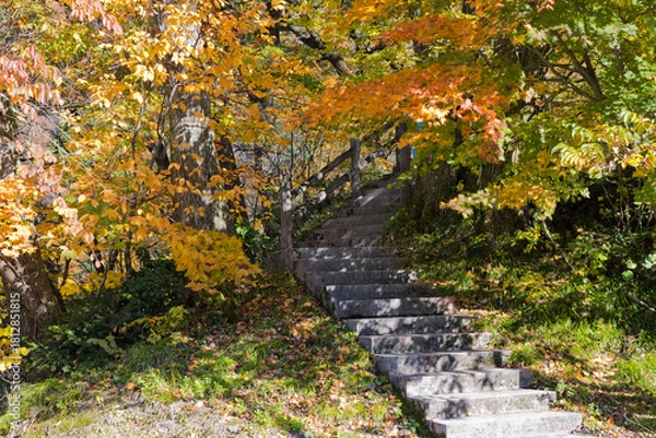 Fototapeta 宇奈月温泉やまびこ展望台への階段