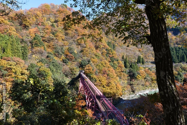 Fototapeta 宇奈月温泉やまびこ展望台から黒部峡谷鉄道トロッコ電車の新山彦橋の橋梁