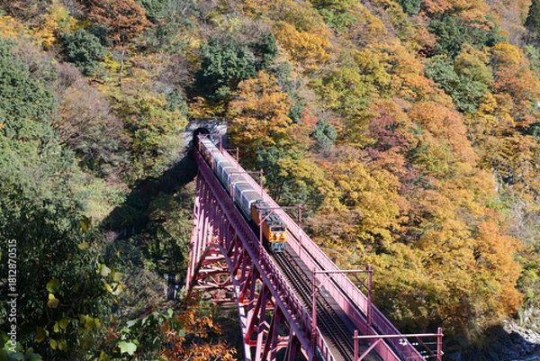 Fototapeta 宇奈月温泉やまびこ展望台から見る新山彦橋の橋梁を渡るトロッコ電車
