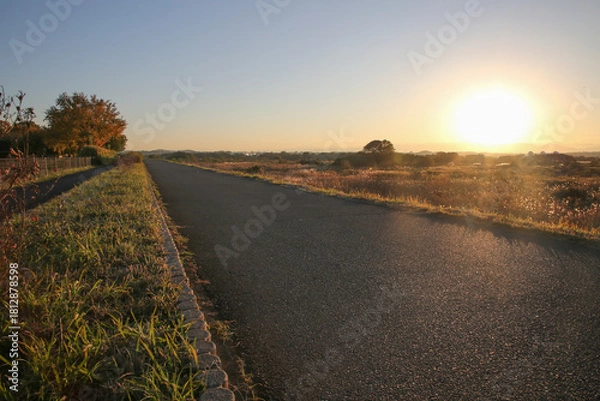 Fototapeta 秋の夕焼け