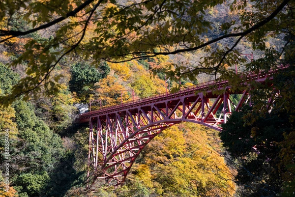 Fototapeta 黒部峡谷鉄道トロッコ電車の新山彦橋の橋梁