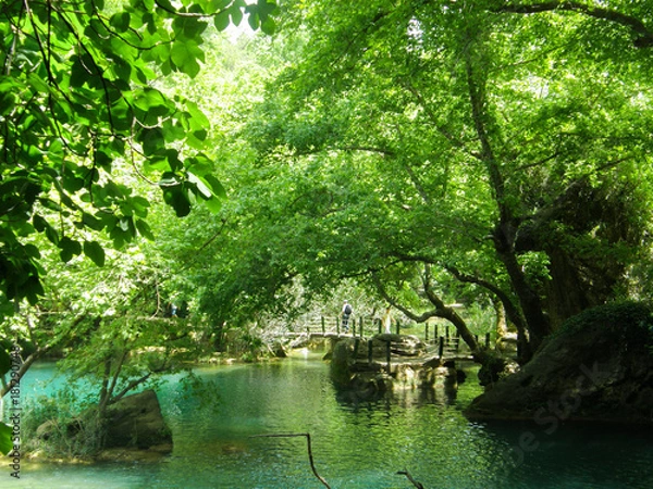 Obraz OLYMPUS DIGITAL CAMERA