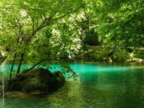 Obraz OLYMPUS DIGITAL CAMERA