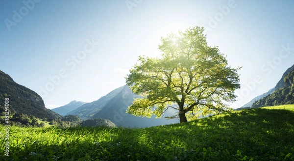 Obraz Idylliczny krajobraz w Alpach, drzewa, trawa i góry, Szwajcaria