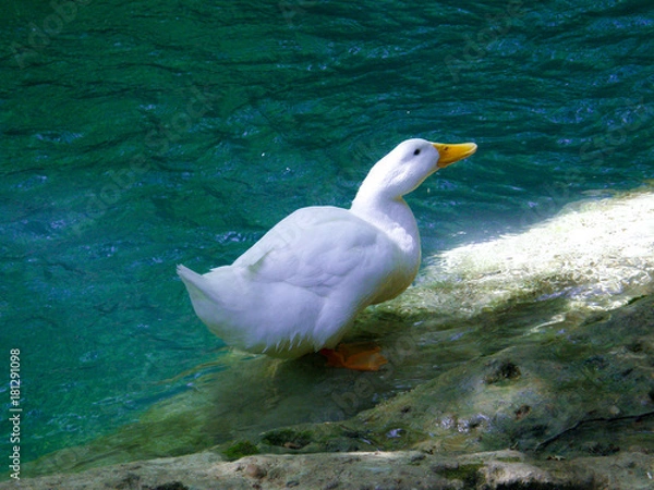 Obraz OLYMPUS DIGITAL CAMERA