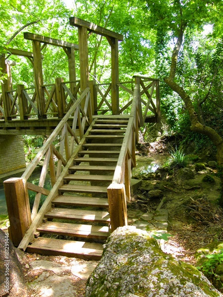 Obraz OLYMPUS DIGITAL CAMERA