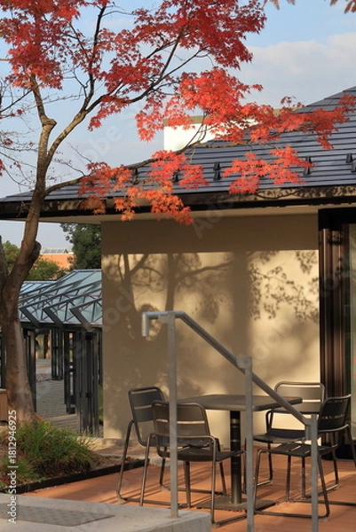 Obraz 紅葉のある風景