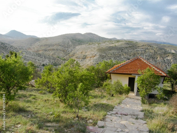 Obraz OLYMPUS DIGITAL CAMERA