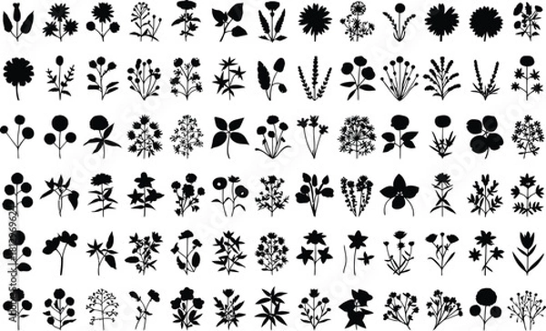 Obraz Botanical Floral Herb Plant Silhouette Vector Set .