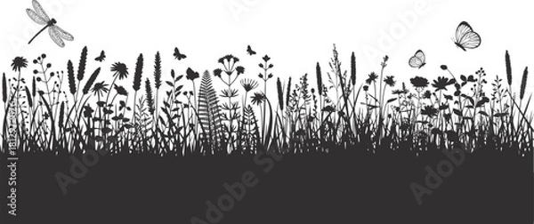 Obraz Wildflower Meadow Grass Insect Silhouette Border Vector .