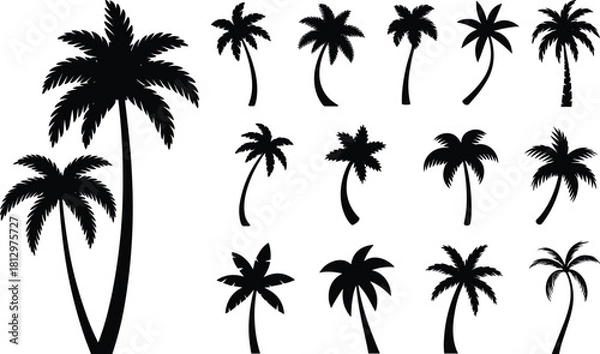 Obraz Tropical palm tree silhouette collection with diverse frond styles, curved trunks, exotic shapes for summer, beach, jungle, and paradise themes
