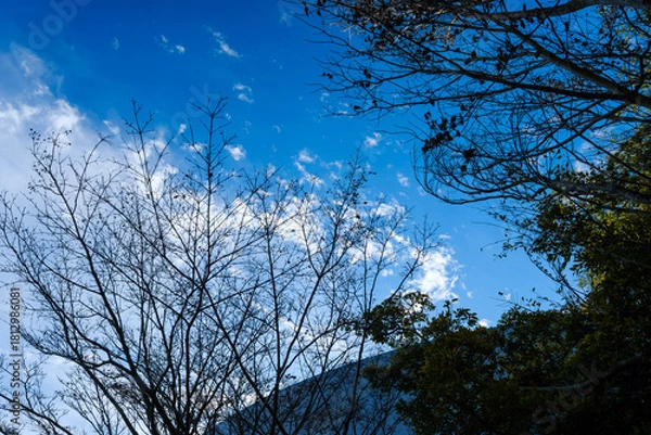 Obraz 散歩の途中で見つけた秋の風景