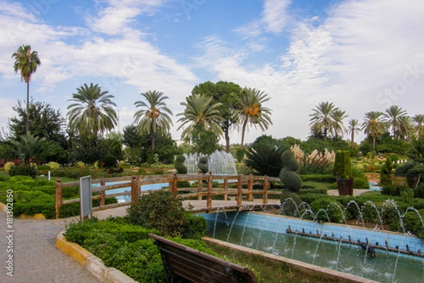 Obraz OLYMPUS DIGITAL CAMERA