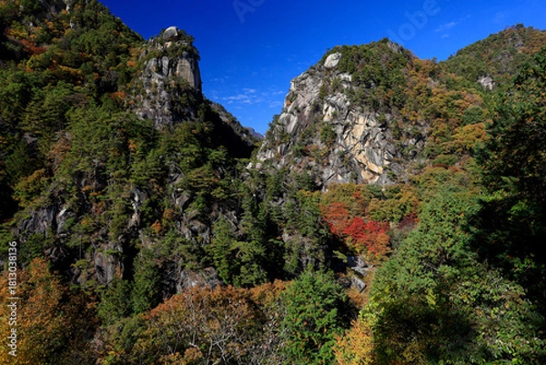 Obraz 紅葉に染まる昇仙峡