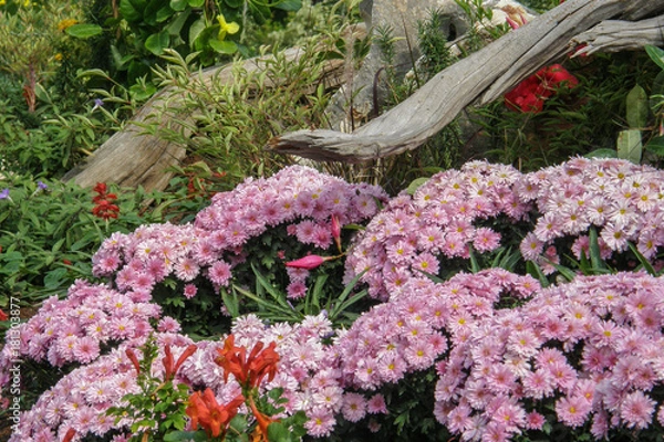 Obraz OLYMPUS DIGITAL CAMERA