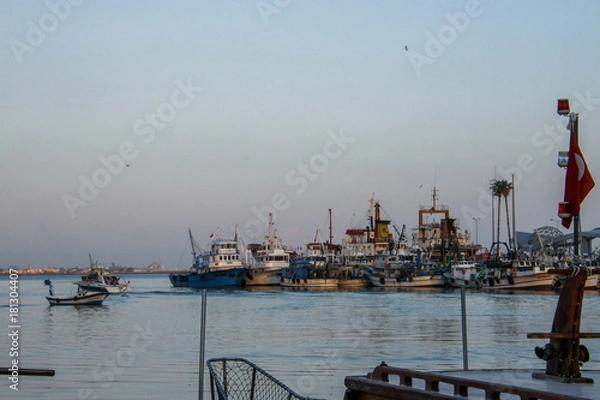 Obraz OLYMPUS DIGITAL CAMERA