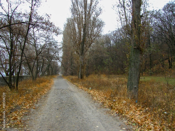 Obraz OLYMPUS DIGITAL CAMERA