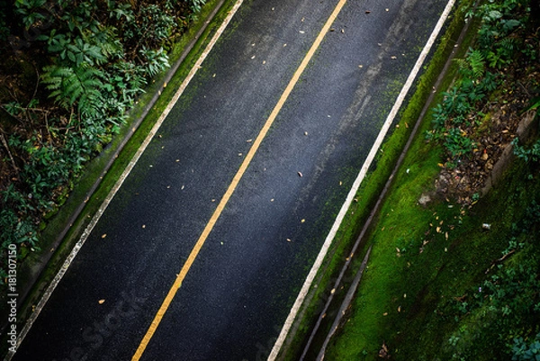 Fototapeta Black asphalt road that looks from top view With straight lines in white and yellow line There are green trees on the side of the road.  light that shines through the tree makes sense of loneliness