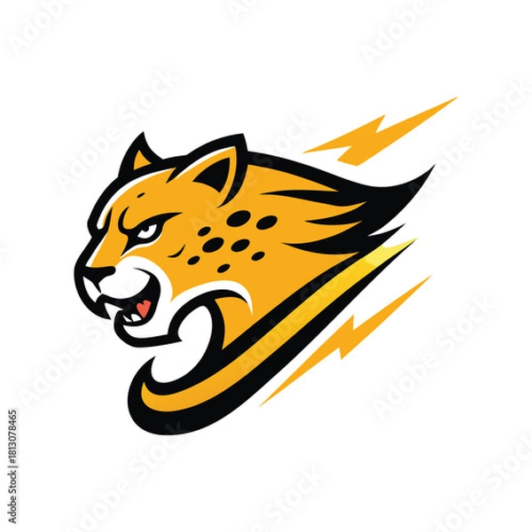 Obraz tiger head vector