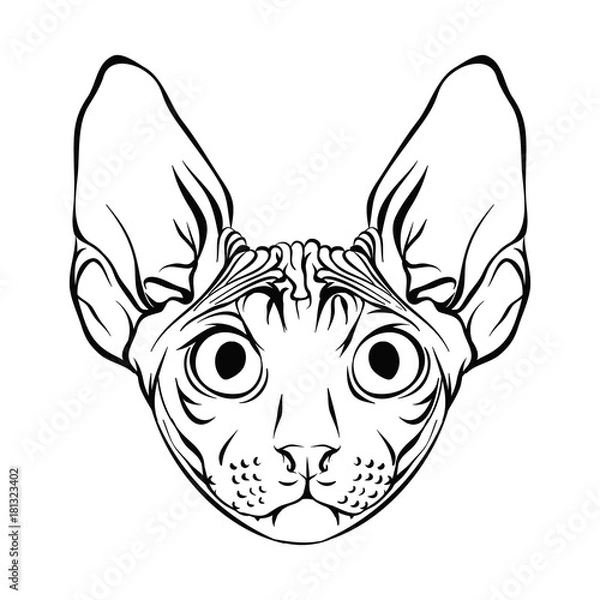 Fototapeta Sphynx. Line drawing.