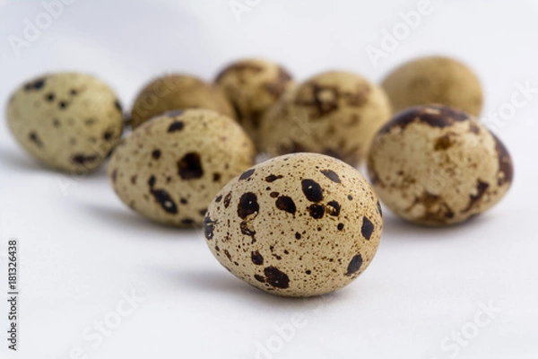 Fototapeta Перепелиные яйца.
