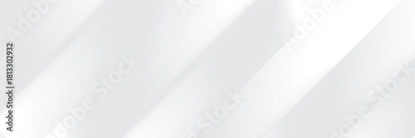 Obraz Abstract pattern white geometric banner design background.