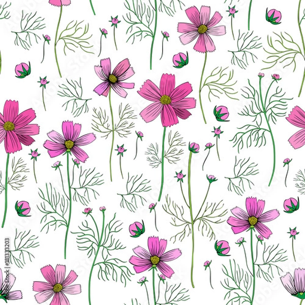 Fototapeta Seamless floral vector pattern, Kosmos flower, kosmeya hand drawn ink sketch, colorful illustration, wild flower astra, design for greeting card, wedding invitation, cosmetic packaging, beauty salon
