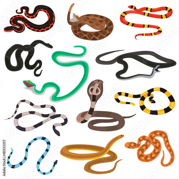 Fototapeta Different poison snakes color flat icons set