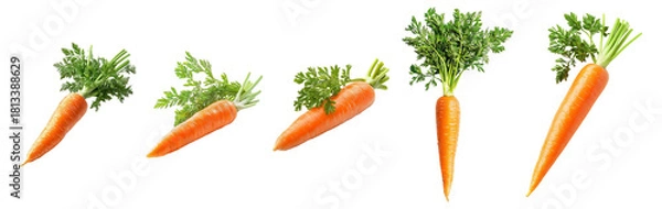 Fototapeta Fresh Carrots with Green Tops Displayed on White Background, Isolated on Transparent, white background