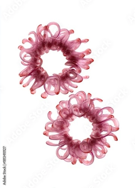 Fototapeta Two vibrant, translucent red onion rings, meticulously curled and arranged in circular formations, float against a stark white backdrop