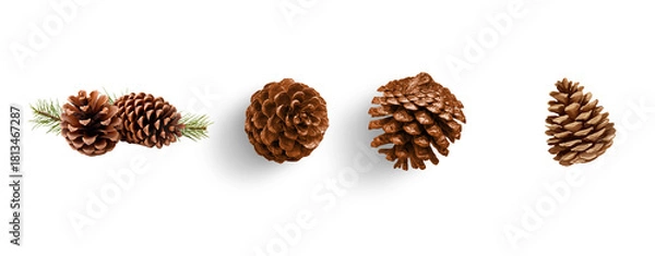 Fototapeta set of pine cones isolated on transparent background for christmas decoration designs greeting card and invitation card banner 