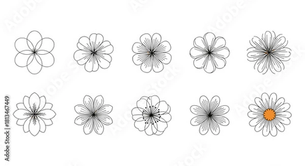 Obraz Collection of ten simple line art floral illustrations on a white background.