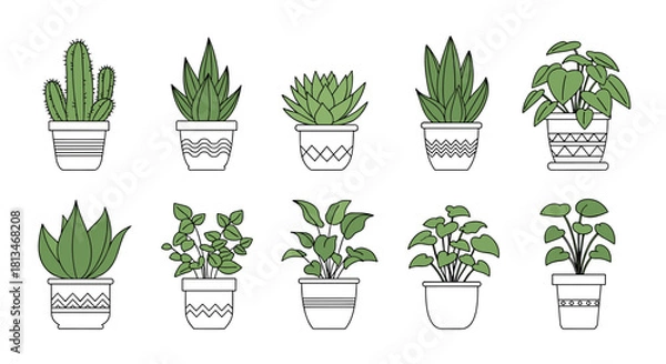 Obraz Collection of potted houseplants featuring diverse green foliage and decorative pots.
