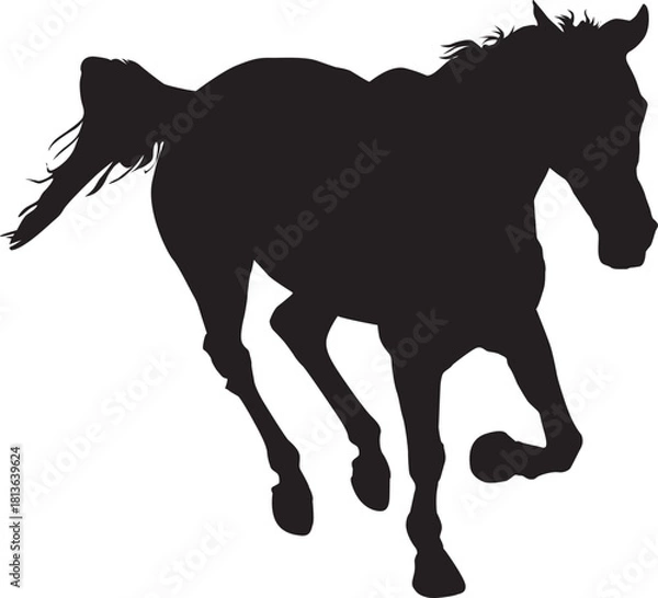 Obraz 馬の疾走シーンのシルエット