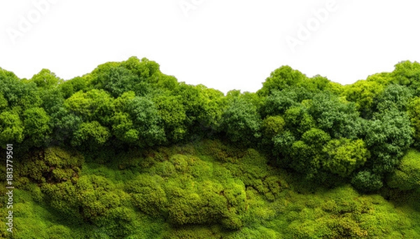 Obraz Lush green mossy landscape with a vibrant tree line against a stark black background