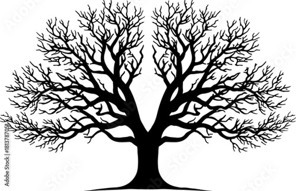 Fototapeta Tree silhouette, tree svg, tree clipart, tree bundle, tree vector, nature silhouette, forest silhouette, tree outline, tree cut file, nature svg, woodland svg, tree png, tree eps, tree dxf, tree ai, t