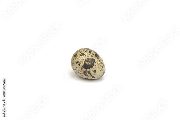 Obraz Nice small quail egg isolated on white background