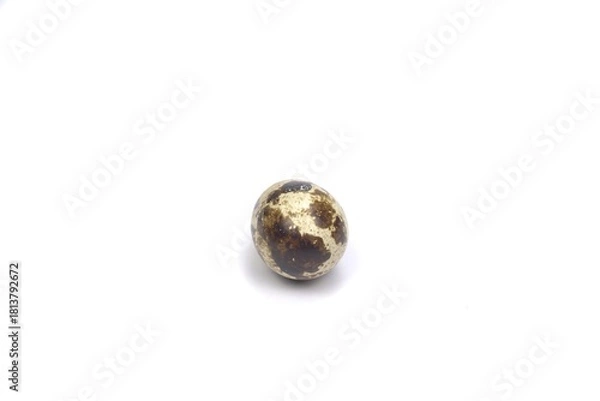 Obraz Nice small quail egg isolated on white background